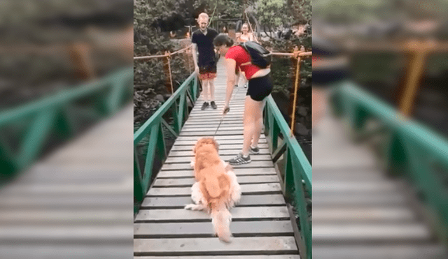 Vía Facebook: Perro teme cruzar un puente y su dueña lo ayuda de una tierna manera [VIDEO]