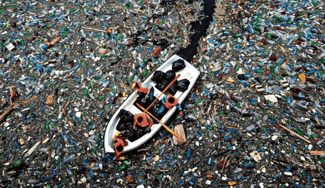 El 29 de julio, la humanidad agotó los recursos naturales que ofrece la Tierra. Foto: Difusión