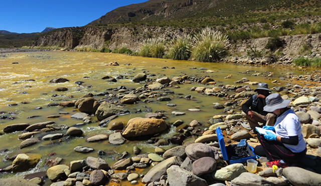 Moquegua: ANA recoge muestras de agua del río Tambo por contaminación