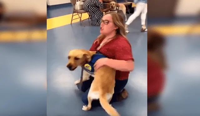 En YouTube, un perro lazarillo olvidó su entrenamiento cuando volvió a ver a su profesora, quien lo cuidó desde bebé.