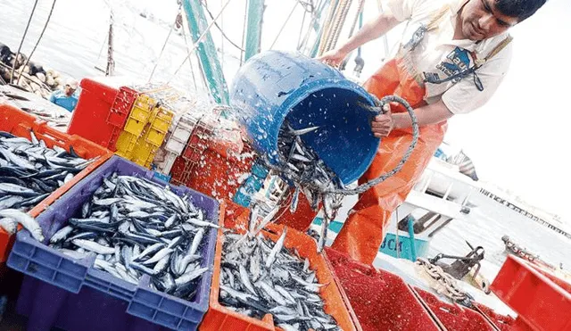 Produce: Festimar promoverá la pesca sostenible 