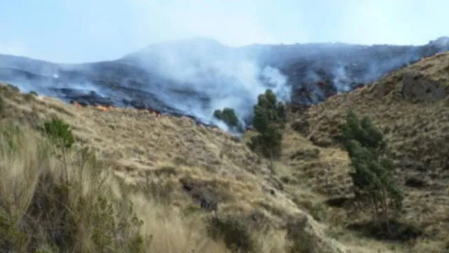 Cusco: Incendio Forestal consume cerca de 800 hectáreas de pastizales