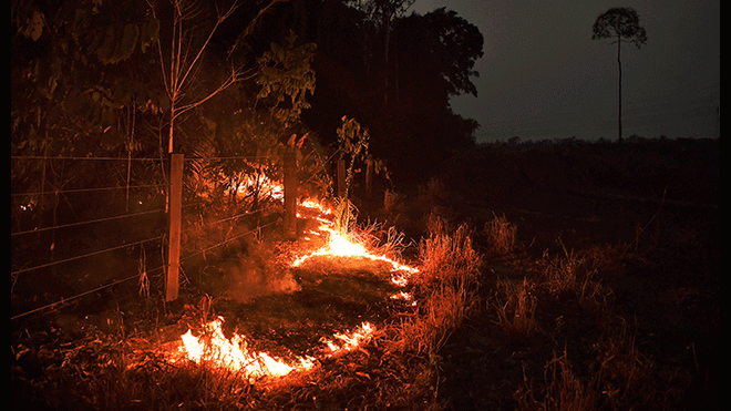 Justin Trudeau anuncia envío de ayuda para combatir incendios en la amazonía. Foto: AFP