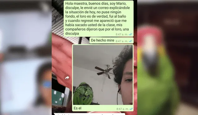 Desliza para conocer los detalles de esta historia que se viralizó en YouTube. Foto: Captura.