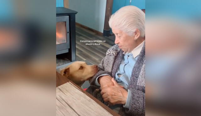 Desliza hacia la izquierda para ver más imágenes de esta conmovedora escena protagonizada por una anciana y su perro. (Foto: captura / TikTok)