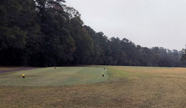 El campo de golf ocultaba un cementerio de esclavos afroamericanos en Florida, Estados Unidos. Foto: AP.