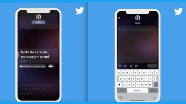 En los nuevos 'Fleets' de Twitter se podrá publicar principalmente texto, emojis, GIFs e imágenes,