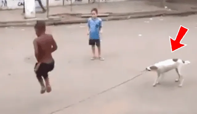 Facebook viral: perro ayuda a niños para que jueguen a saltar la cuerda en la calle 