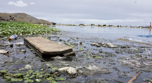 Costanera Sur camino a ser foco de contaminación en el lago Titicaca