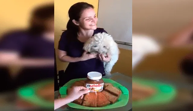En Facebook, los miembros de una familia decidieron celebrar el cumpleaños de su mascota con una curiosa fiesta.