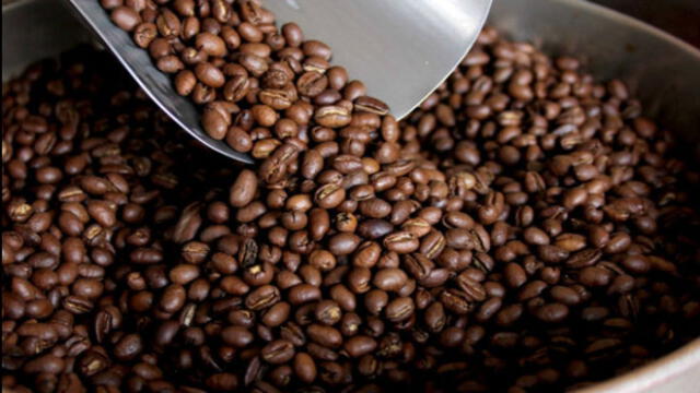 Producción de café en La Convención cayó a la tercera parte entre 2011 y 2017