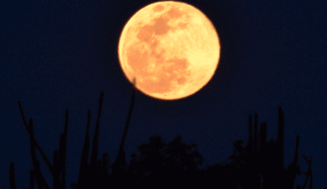 Superluna rosa en Hermosillo. Foto: Víctor Mendoza Lambert