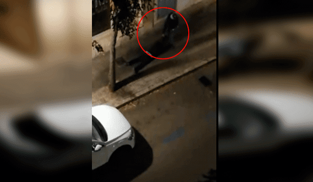 Un ladrón arrastra 20 metros a una mujer para robarle su bolso [VIDEO]