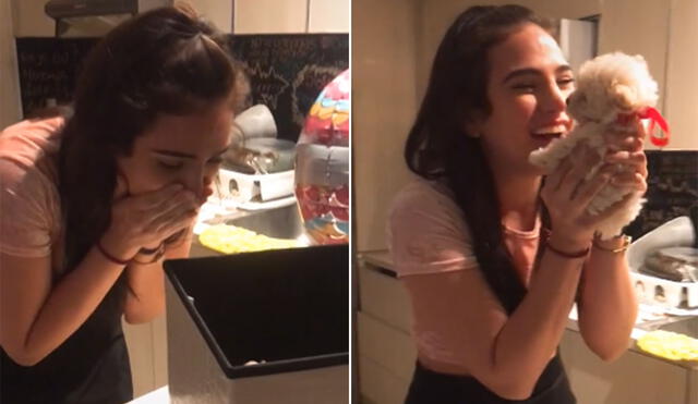 Desliza para ver más imágenes de esta tierna escena en la que una joven recibe a su primera mascota. Foto: captura de TikTok