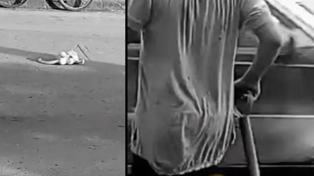 Vía Facebook: noble joven es 'trolleado' por gato muerto en plena carretera [VIDEO]