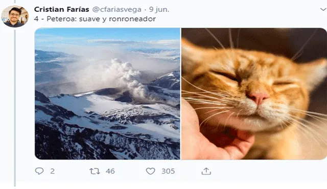 Twitter: Científico chileno enseña el 'carácter' de los volcanes usando gatos y la red 'delira' [FOTOS]