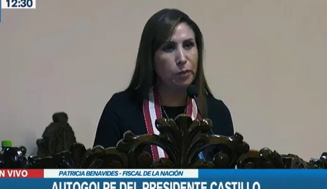 "Como fiscal de la Nación, sostengo y exhorto respetar la Constitución Política, el Estado de derecho y la democracia”, dijo Benavides. Foto: captura Canal N