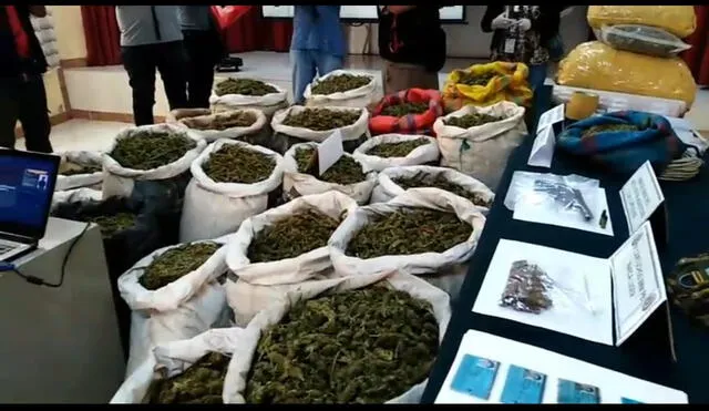 Incautan 300 kilos de marihuana en La Libertad