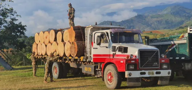 Decomisan madera ilegal en el Vraem | Créditos: difusión