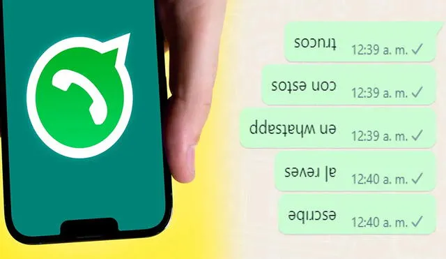 Miles están probando este fantástico truco de WhatsApp. Foto: AndroidPhoria