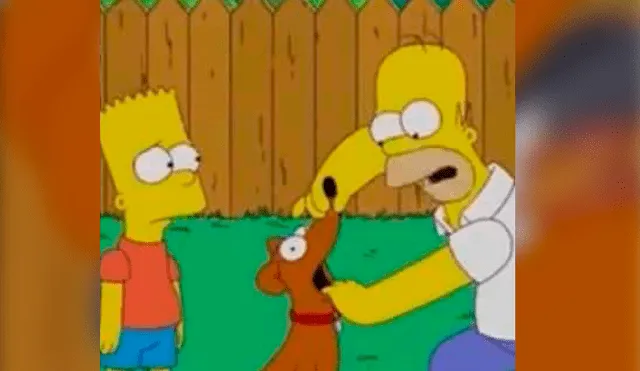 Facebook: ¿Los Simpsons predijeron la muerte del "Chimuelo? Imágenes asombran al mundo