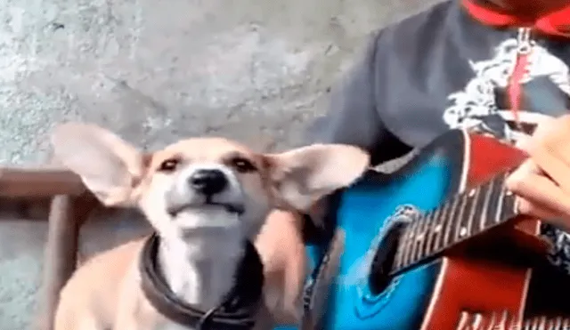 Facebook viral: niño prepara tierna serenata con su perro y conmueven a usuarios [VIDEO]