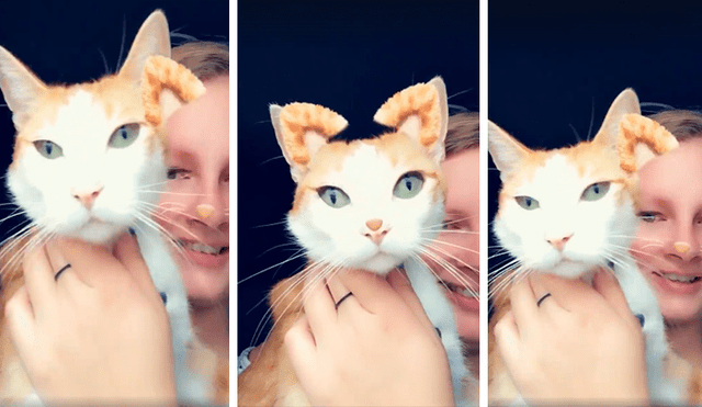 Facebook viral: quería jugar con su gato y le pone divertidos filtros a su rostro [VIDEO] 