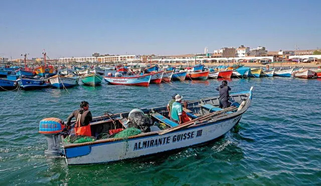 Pesca artesanal. Foto: Produce