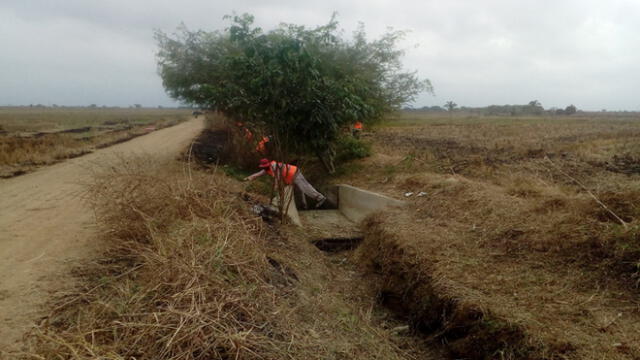 Piura: MINAGRI inicia limpieza de canales y drenes en el norte