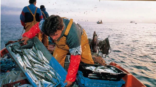 Pescadores artesanales