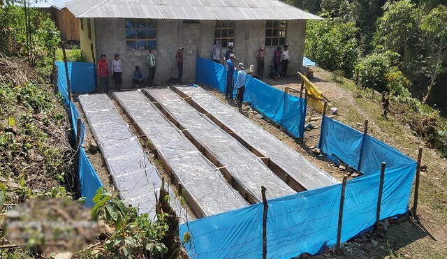 Comenzó la siembra de semillas en germinaderos. Foto: Gore Puno.