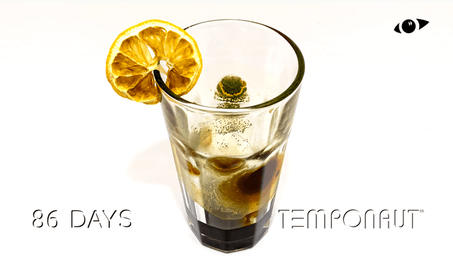En los primeros días el limón se arrugó y se crearon pequeñas manchas de moho. Foto: Temponaut Timelapse / YouTube