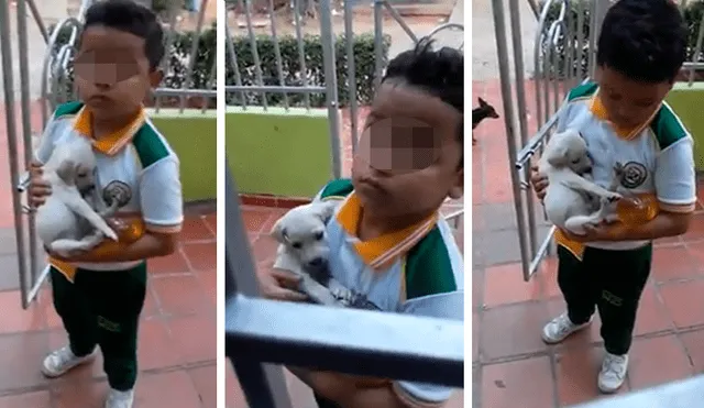 En Facebook, una señora mandó a su hijo a comprar a la tienda y él regresó con un indefenso cachorro.