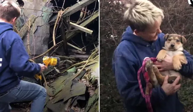 La mujer entró a una casa derrumba a salvarle la vida a los pequeños canes. Foto: El Dodo / Facebook