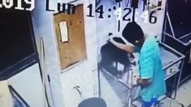Surquillo: trabajadores de veterinaria golpearon salvajemente a mascota [VIDEO]