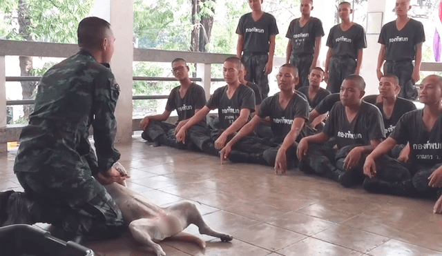 Facebook: perro finge desmayarse para que militares le practiquen reanimación cardiopulmonar [VIDEO]