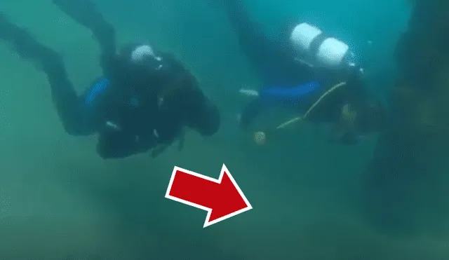 Facebook viral: buzos ingresan al fondo del océano y descubren rostro de aterrador pez [VIDEO]