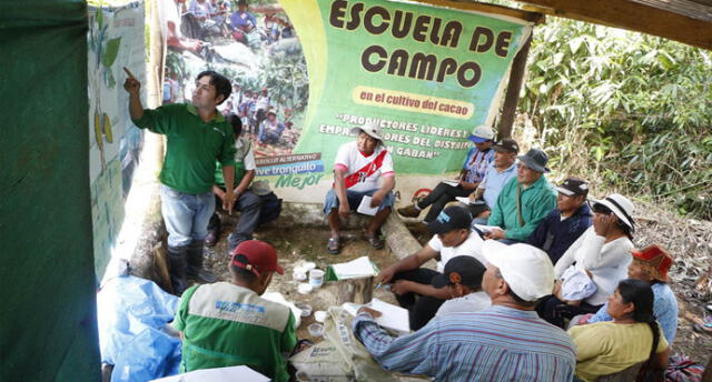 Capacitan a agricultores de Puno y Cusco para aprovechar 350 hectáreas de cacao