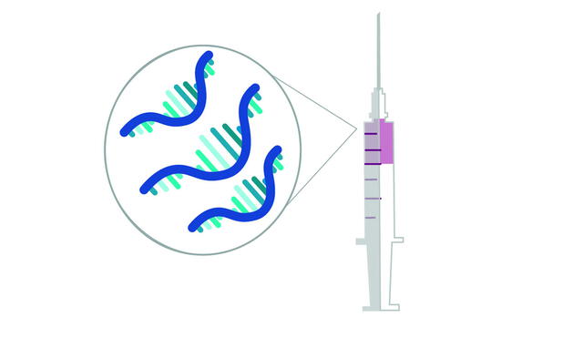 La vacuna de Pfizer/BioNTech se basa en ARN mensajero. Foto: LR