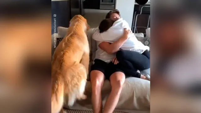 Desliza las imágenes para ver la curiosa reacción que tuvo un perro al ver a su dueño abrazando a su novia. Foto: Woof Woof