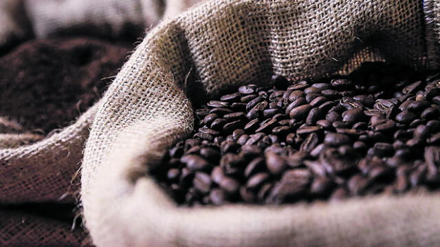 Cajamarca se posiciona como la principal región exportadora de café