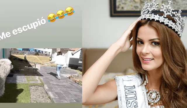 Alpaca escupe a Laura Spoya y mexicano se burla de ex Miss Perú [VIDEO]