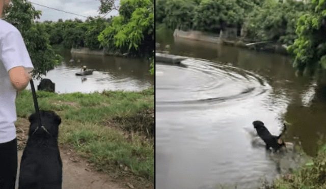 Desliza hacia la izquierda para ver más del video viral. Fotocaptura: YouTube