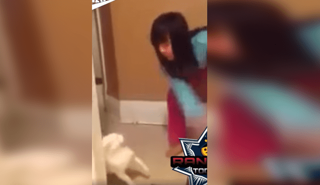Viral en Facebook:gato da tremenda lección a niña que no se cansaba de molestar [VIDEO]