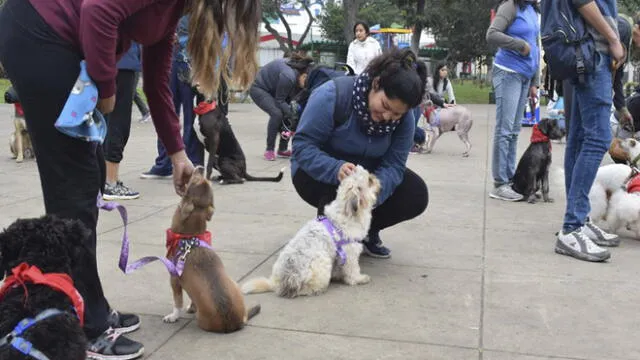 Lince: vecinos participaron con sus mascotas en clases de adiestramiento