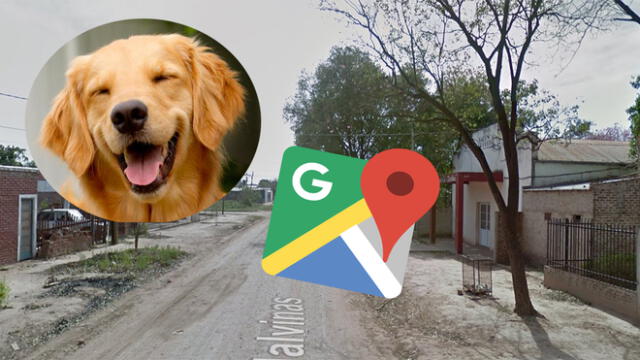 Google Maps: Captan el instante en que un perro pasa por un ‘momento íntimo’ y miles explotan de risa [FOTO]