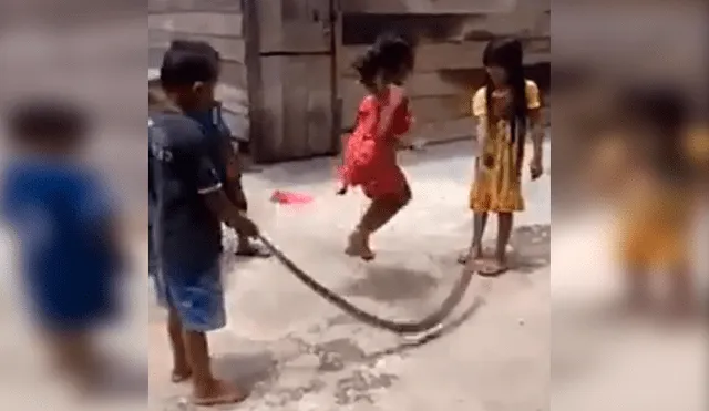 Grupo de niños fue grabado mientras se divertían en el popular juego de la cuerda con el cuerpo de una enorme serpiente. Video es viral en YouTube