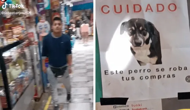 La imagen sacó más de una sonrisa en redes sociales. Foto: composición LR/captura de TikTok/@Sebastianjesus09