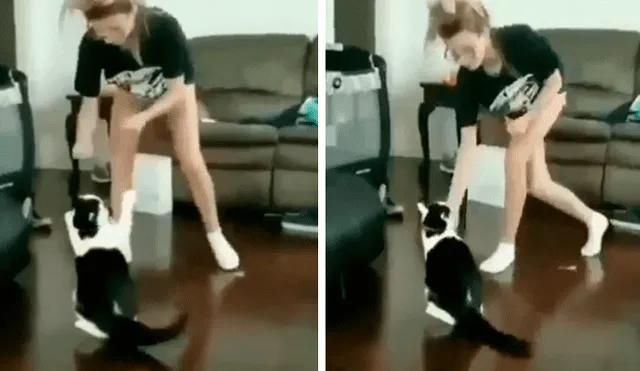 Facebook viral: gato sorprende a su dueña al realizar increíbles técnicas karatecas [VIDEO] 