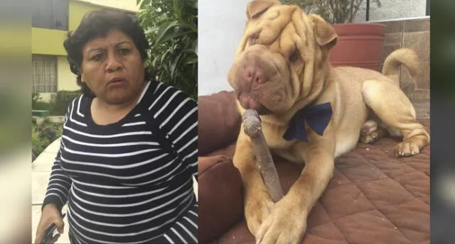 Arequipa: mujer agrede a joven y su perro por miccionar en parque frente a su casa [VIDEO]